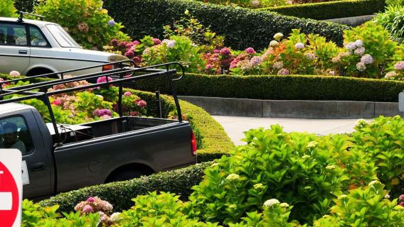 舊金山一日遊：金門大橋+藝術宮+科伊特塔+九曲花街