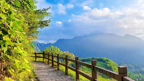 Excursión de un día en servicio de coche privado con conductor a los arrozales en terrazas de Yunhe y el pueblo antiguo de Guyan en Lishui [Diversos itinerarios disponibles para servicios de coche privado con conductor en Lishui y sus alrededores]