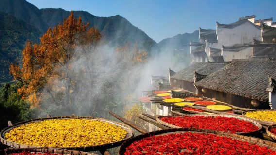 婺源篁嶺+婺女洲精品6人小團一日遊【可選非遺手工陶藝體驗】