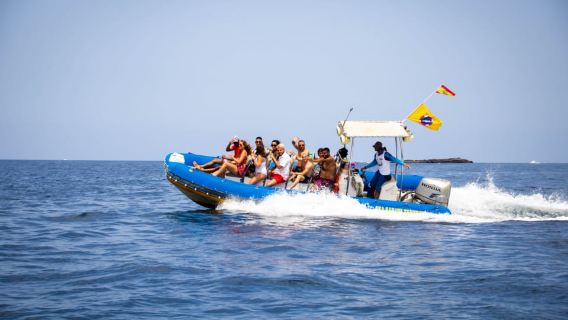 Puerto Colón: Crucero en lancha rápida para avistar delfines y ballenas