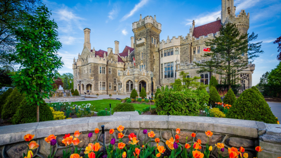 Royal Ontario Museum + Casa Loma + University of Toronto + Scarborough Bluffs Park