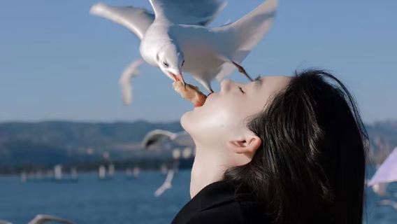 【環湖公路】博斯騰湖蓮海世界+大河口+白鷺洲+海心山一日遊