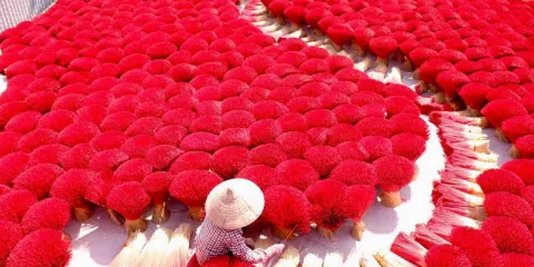 河內:廣富橋香村、火車街及城市全日遊