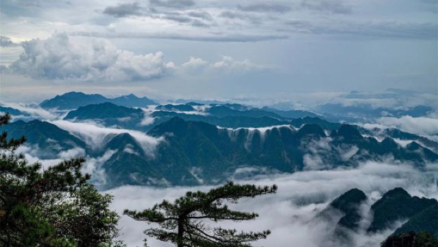 Sanqingshan 1-day tour with car transfers