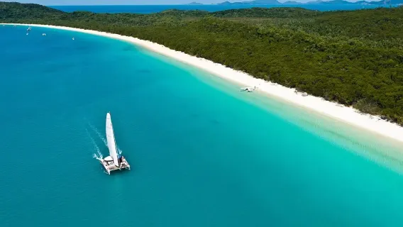 Excursion à la plage de Whitehaven et à la plage de Chalkies en Australie [incluant une pause gourmande déjeuner + équipement de snorkeling]