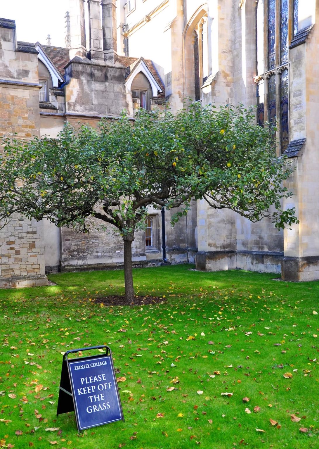倫敦出發丨牛津劍橋精華包車1日遊