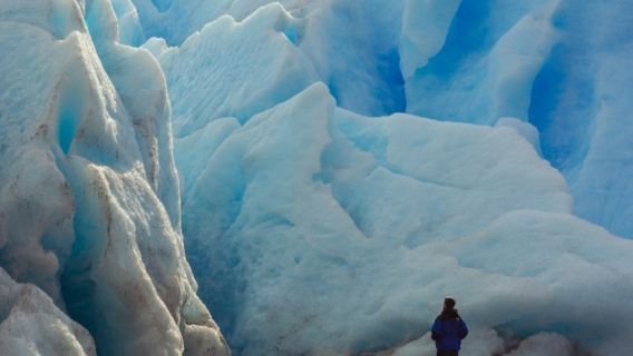 Perito Moreno Glacier: Blue Safari + Roundtrip Transfer from El Calafate