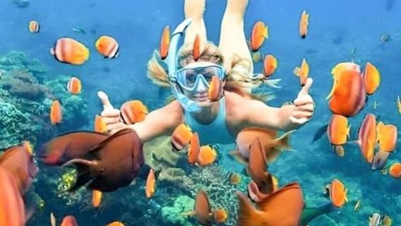 Avventura di snorkeling alla Laguna Blu - Acque cristalline della baia di Padang