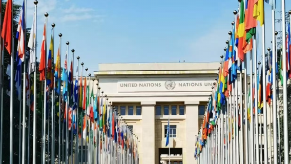 Geneva "Lakeside Fun for Kids" Family Day Tour