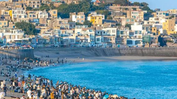 東山島風動石+南門灣+蘇峰山一日遊私人導覽+豪華商務車上門接送