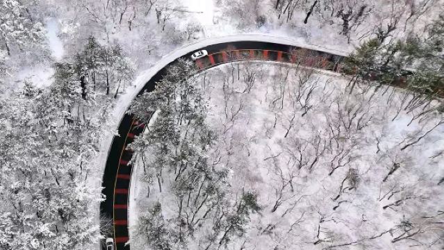 Lawatan Sehari di Pulau Jeju | Laluan Barat Daya Musim Sejuk | Gunung Halla | Menjejaki Lumba-lumba | Anak Kambing | Kumpulan Kecil Eksklusif