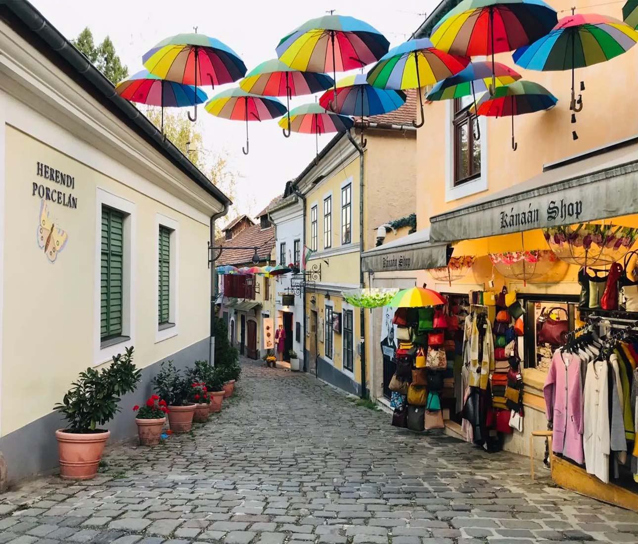 ทัวร์ครึ่งวันหมู่บ้านศิลปินเซนต์แอนดรูจากบูดาเปสต์ ฮังการี (การล่องเรือแม่น้ำดานูบในฤดูร้อน)