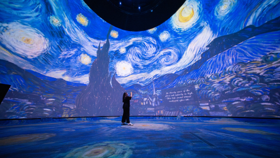 Van Gogh Museum + Red Light District Amsterdam Centrum + Venus Temple Sex Museum + Homomonument