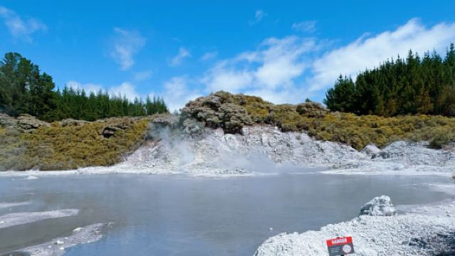 地熱公園奇觀+地獄之門+波里尼西亞溫泉~奧克蘭來回包車一日遊