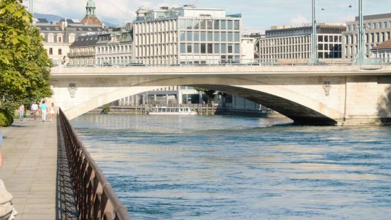 상담 후 주문/스위스 제네바 호수 팔레 데 나시옹 제네바 워터 분수 생 피에르 대성경 박물관 파테크 필립 박물관 공항/지점 간 이동/여행 가이드 운전사/전용 차량 서비스