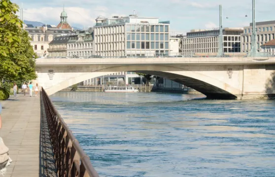 諮詢後下單/瑞士日內瓦湖萬國宮大噴泉聖皮埃爾大教堂百達翡翠博物館機場/點對點用車/旅遊旅行司導/專車服務