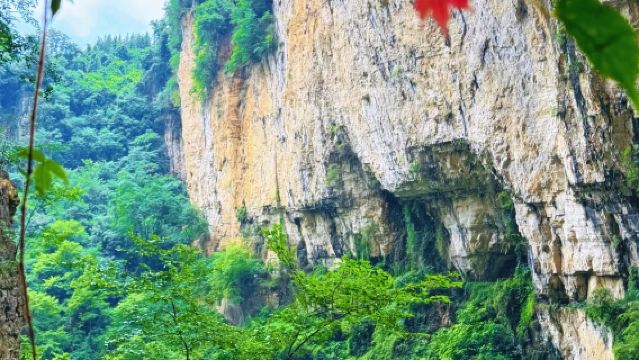 Guiyang Departure: Zhijindong Cave Premium Day Tour (Daily Departures)