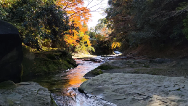 Lawatan sewa peribadi Tokyo-Chiba (Gunung, Laut, Kuil Buddha · Laluan Sejarah, Budaya & Keajaiban Semula Jadi) dengan pengangkutan dari pintu ke pintu