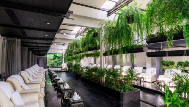 Phuket Kim's Massage and Spa (No.9)