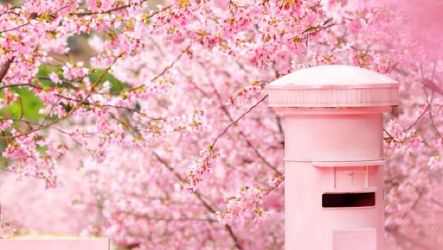 錯峰優惠·探索楠溪櫻花園+陶公洞+永嘉書院+芙蓉古村1日拼車