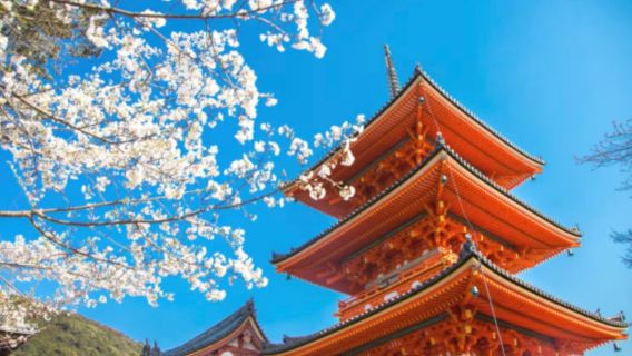 Jepun - Tokyo/Kyoto/Osaka - Seluruh Kawasan - Pelancongan/Pameran/Perniagaan/Penterjemahan/Teman/Tinjauan/Pembelajaran/Penerangan Berpandu/Sewaan Peribadi Berbahasa Cina Tersuai