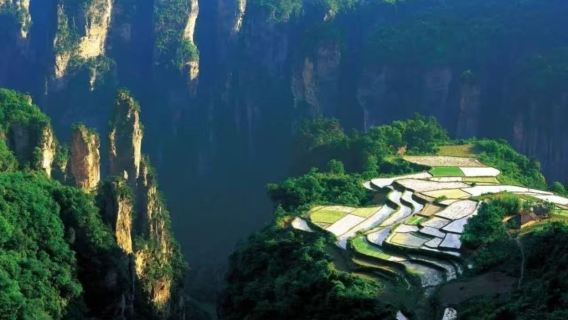 El Jardín del Cielo y las Montañas Avatar: excursión clásica de un día al Parque Forestal Nacional de Zhangjiajie