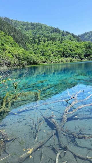 1-day tour to Jiuzhaigou | Private chartered tour | Small join-in group for 8 people (includes admission ticket)