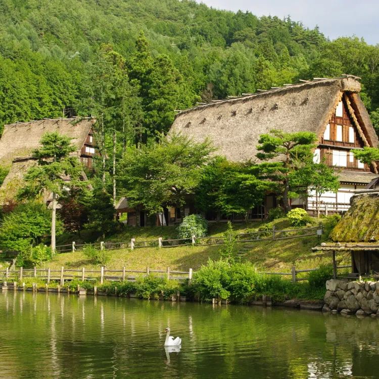 1-day tour to Hida's hidden gems from Takayama - Shinhotaka