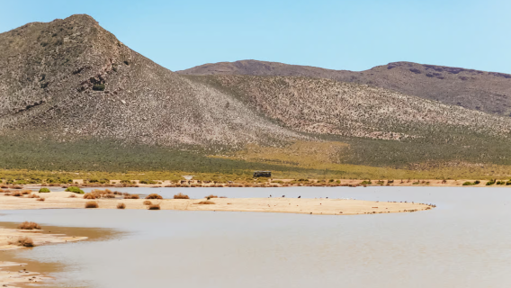Safari por la reserva de vida salvaje desde Ciudad del Cabo, Sudáfrica