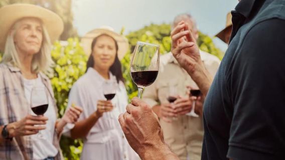 Cappadocia: Wine Tasting Experience