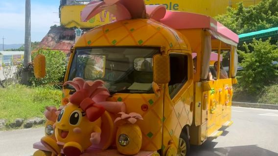 Ekspedisi Manis Okinawa Utara | Kereta Nanas Ladang Nanas Nago + Pengalaman Wain Nanas (tidak termasuk tiket)