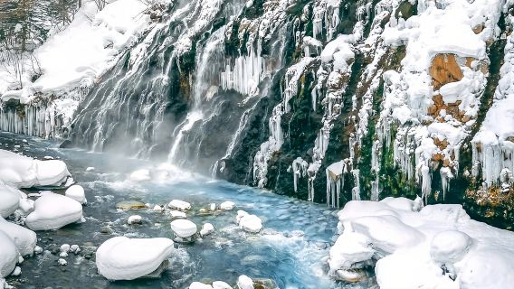 Klassisk dagsrejse i Hokkaido: Asahiyama Zoo + Hvidskæg Vandfald + Blå Dam + Ningle Terrace