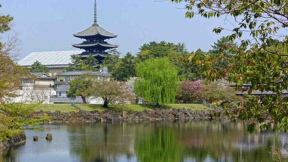 ทัวร์เสียงไฮไลท์นาระ: วัดศักดิ์สิทธิ์และสวนมรดกทางวัฒนธรรม