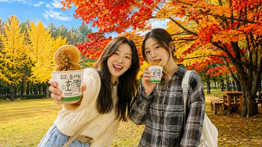 韓國南怡島+晨靜園藝樹木園+江村鐵路自行車一日遊(首爾出發) 韓國南怡島+晨靜園藝樹木園+江村鐵路自行車一日遊(首爾出發)