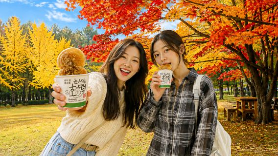 Nami Island + Gangchon Railbike + The Garden of Morning Calm One Day Tour (Depart from Seoul)
