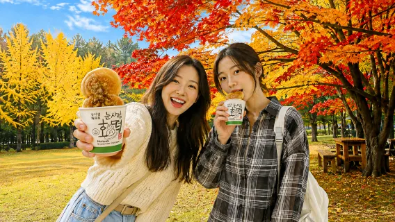 Nami Island + Gangchon Railbike + The Garden of Morning Calm One Day Tour (Depart from Seoul)