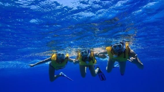 Oahu: Waikiki Turtle Canyons Kreuzfahrt und Schnorchelausflug