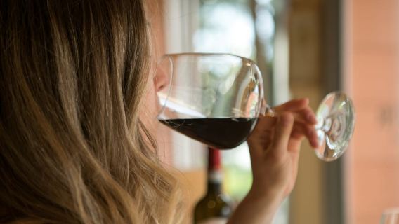 Valpolicella: Discovering Amarone Capitel della Crosara