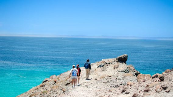 Balandra Boat Adventure: Sea lions, Kayak, and Hike