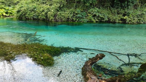 Blue Eye Spring Tour - Pickup from Saranda & Ksamil