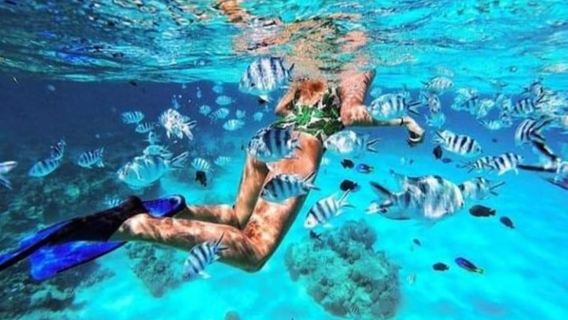 Snorkelen in de Blue Lagoon, bezoek aan Starfish & the rock restaurant