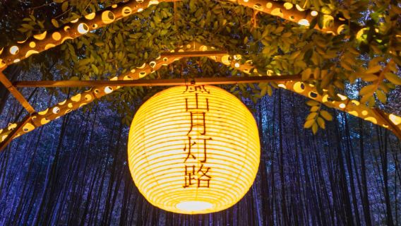 Osaka menopaluu|Arashiyama kuunvalotie + Naran puisto + Fushimin Inari-jinja - päiväretki|Syysyön erikoisversio
