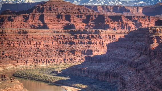 MoabTours