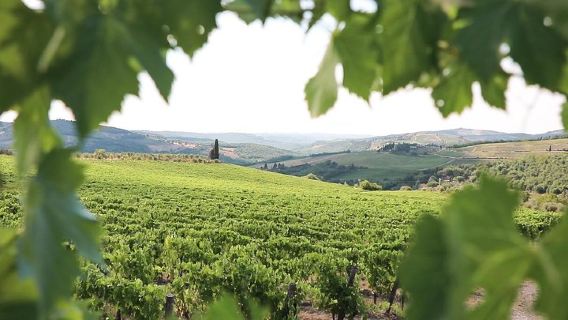 FlorenceTours
