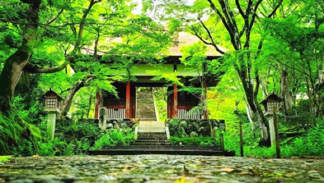 京都・嵐山天龍寺・金閣寺・伏見稲荷大社ワンデーツアー｜OKOSHI観光