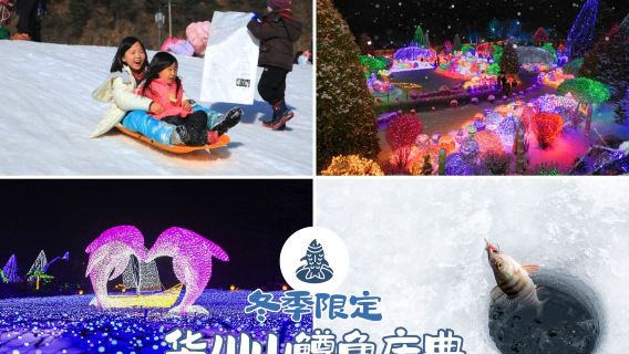 Winter Limited|Hwacheon Ice Fishing Festival and Five-Colored Star Garden Night Lights Exhibition in South Korea / Transportation Only Package