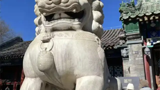 【遊京程·天壇聯票景點導覽品牌資深導遊導覽】可選單獨私家小團·無線耳機服務