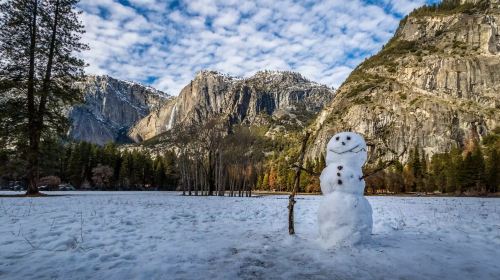 United States Yosemite National Park + Giant Sequoia hiking 1-day tour [departing from San Francisco | foreign language guide] Day Tours