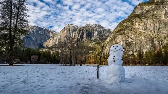 美國優勝美地國家公園+巨杉徒步一日遊【舊金山出發｜外語導覽】
