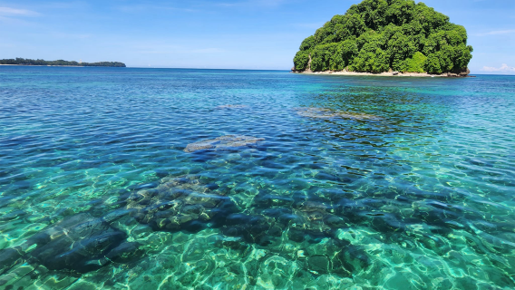 Sabah Kota Kinabalu Mantanani Island & Kawa Mangrove Shared Day Tour